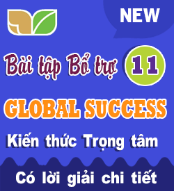 Bài tập Bổ trợ Tiếng Anh 11 Global success